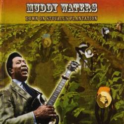 Muddy Waters : Down On Stovall's Plantation